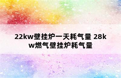 22kw壁挂炉一天耗气量 28kw燃气壁挂炉耗气量